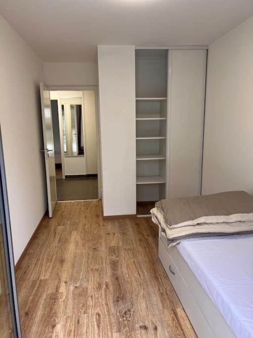Appartement Red Jardin Tres Calme サン・ルイ エクステリア 写真